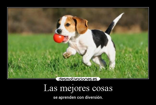 carteles alegria aprendizaje diversion beagle doniisback doni desmotivaciones