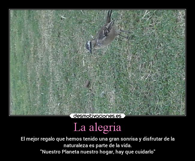 La alegria - El mejor regalo que hemos tenido una gran sonrisa y disfrutar de la
naturaleza es parte de la vida.
Nuestro Planeta nuestro hogar, hay que cuidarlo