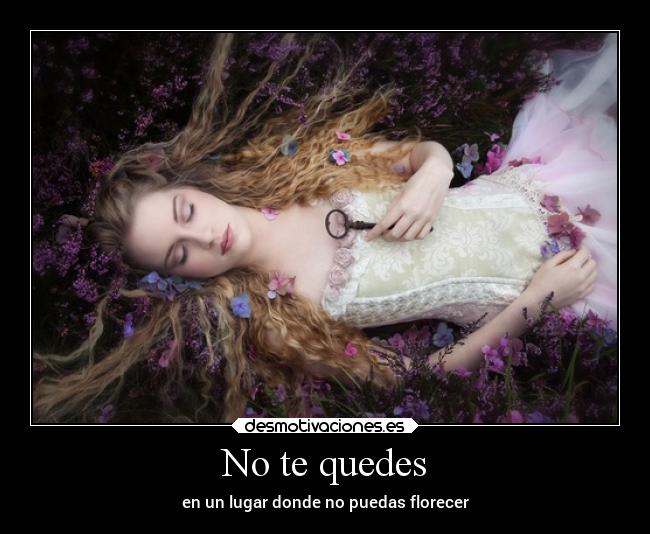 No te quedes - en un lugar donde no puedas florecer