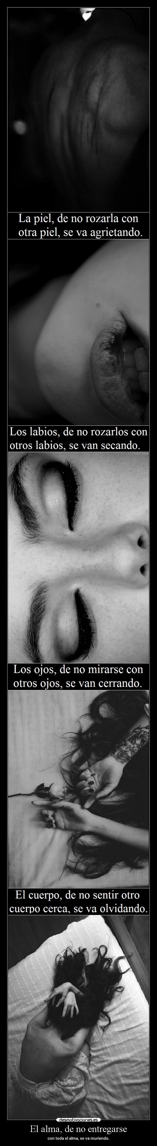 carteles alma vida poema bertolt brecht lapiel fielalrock tumblr noesmimejormega desmolove desmotivaciones