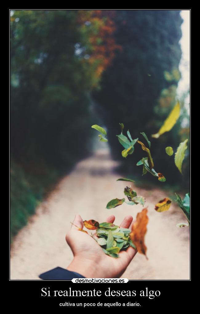 Si realmente deseas algo -