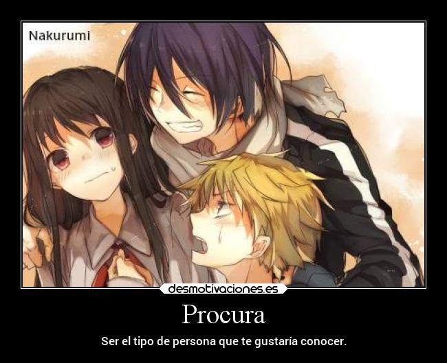 Procura - 