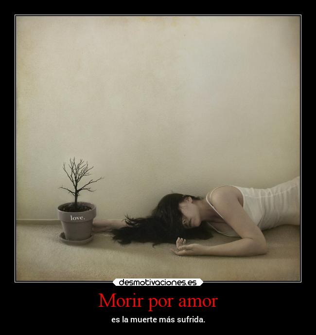 Morir por amor -