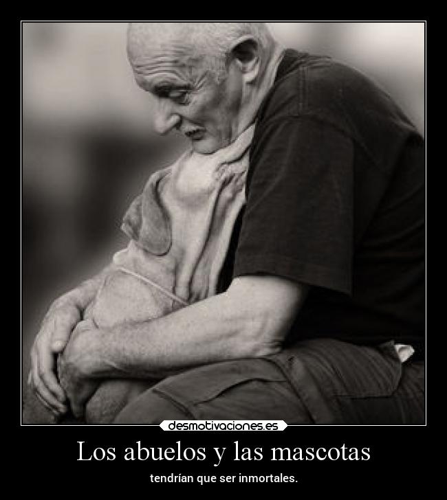 carteles animales alegria pensamientos naturaleza familia desmotivaciones