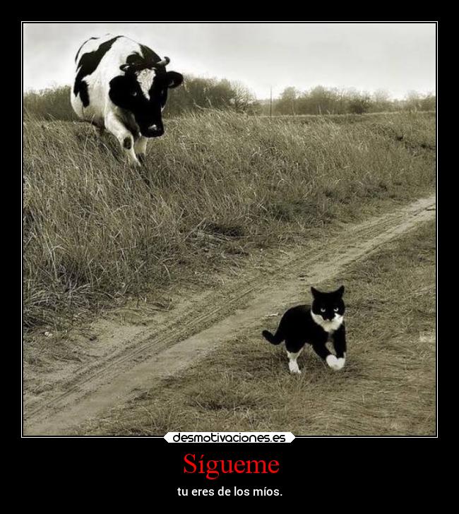 Sígueme - tu eres de los míos.