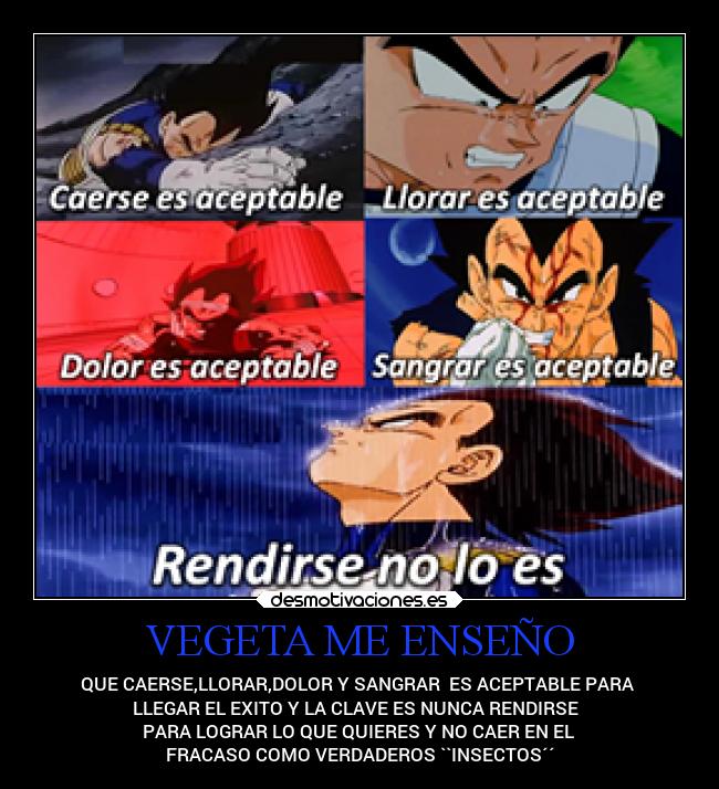 VEGETA ME ENSEÑO - QUE CAERSE,LLORAR,DOLOR Y SANGRAR ES ACEPTABLE PARA
LLEGAR EL EXITO Y LA CLAVE ES NUNCA RENDIRSE
PARA LOGRAR LO QUE QUIERES Y NO CAER EN EL
FRACASO COMO VERDADEROS ``INSECTOS´´