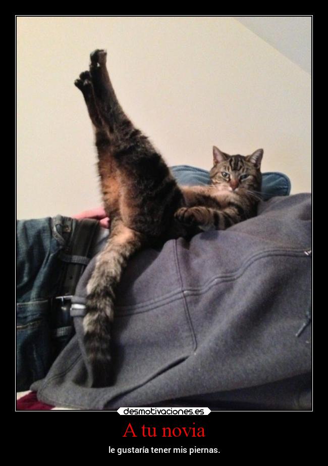 A tu novia - le gustaría tener mis piernas.