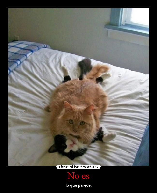 No es - lo que parece.