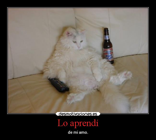 Lo aprendí - de mi amo.