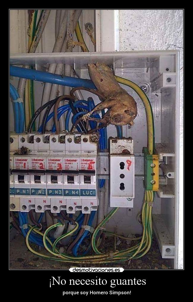 ¡No necesito guantes - 