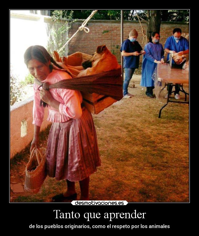 Tanto que aprender -