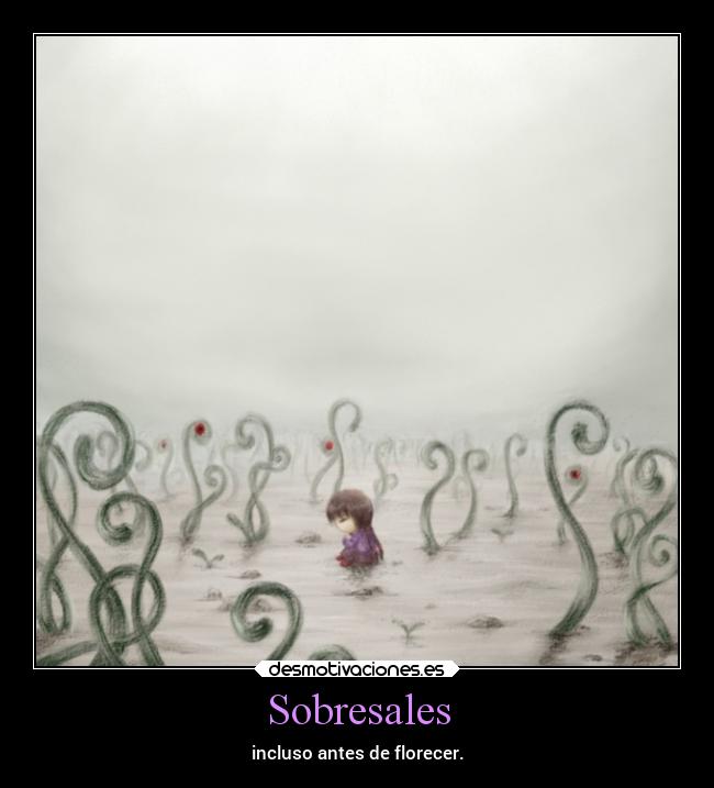 Sobresales - incluso antes de florecer.