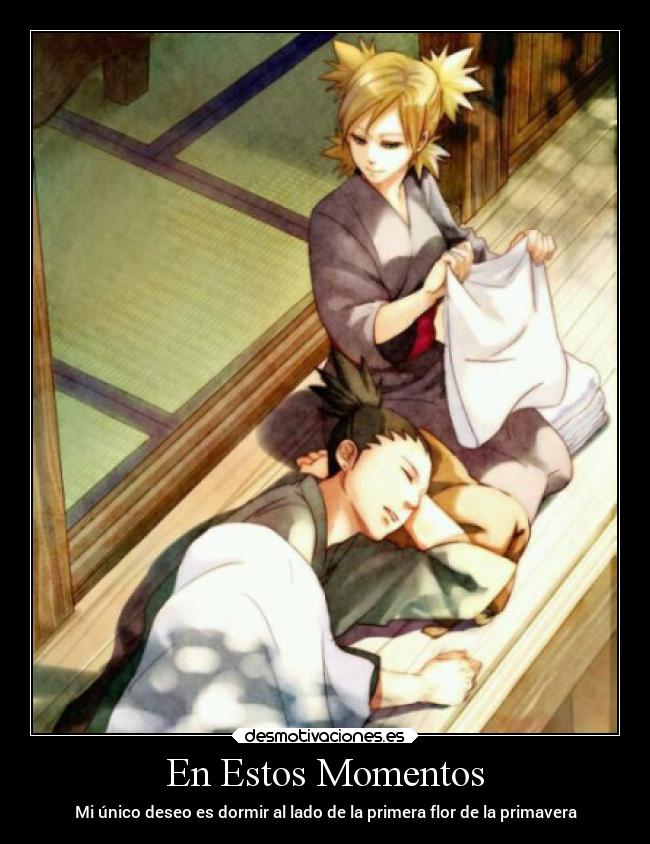 En Estos Momentos - Mi único deseo es dormir al lado de la primera flor de la primavera