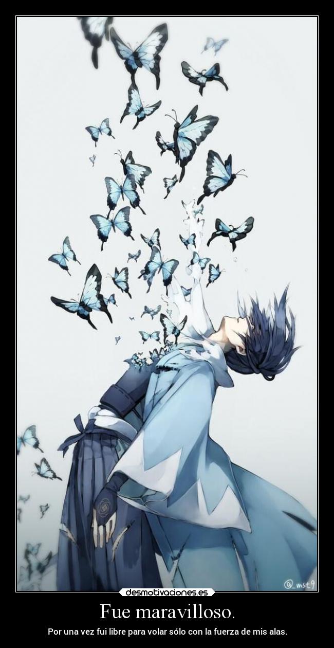 Fue maravilloso. - Por una vez fui libre para volar sólo con la fuerza de mis alas.