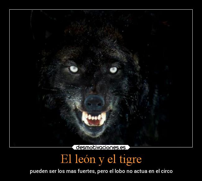 El león y el tigre -