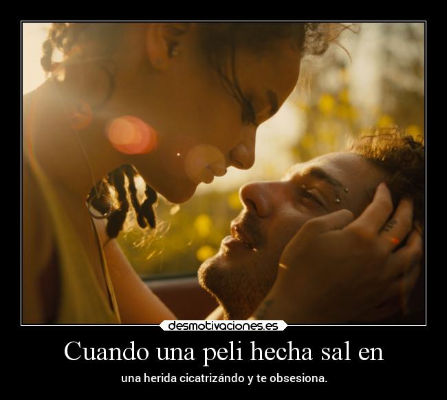 carteles cine honey shia labeouf sasha lane desmotivaciones