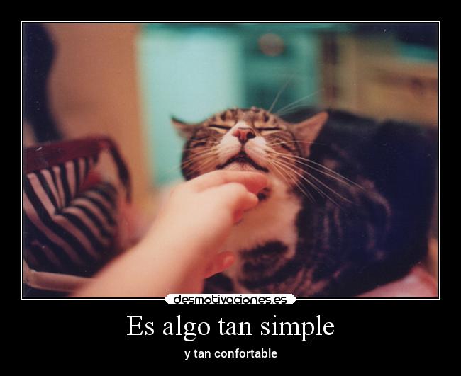 carteles confianza animales amor gatos desmotivaciones