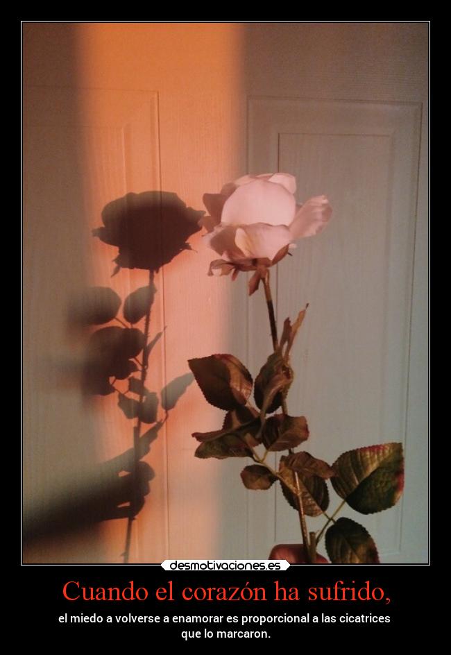 Cuando el corazón ha sufrido, - el miedo a volverse a enamorar es proporcional a las cicatrices 
que lo marcaron.