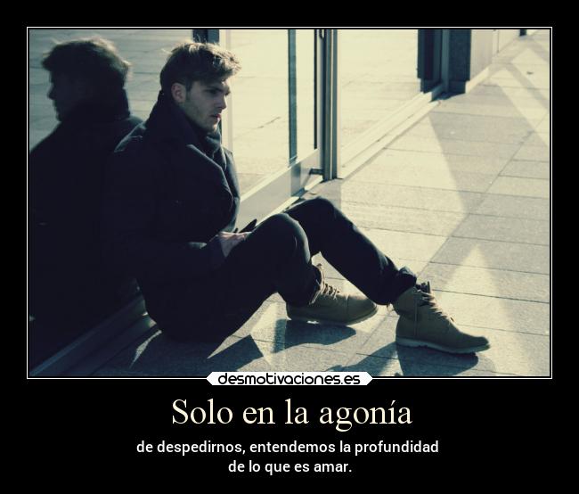 Solo en la agonía - de despedirnos, entendemos la profundidad
de lo que es amar.