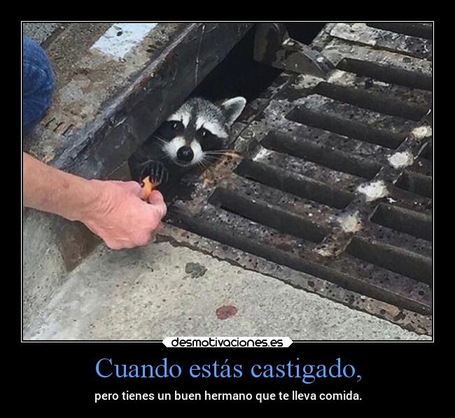 Cuando estás castigado, - pero tienes un buen hermano que te lleva comida.