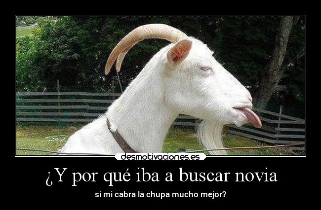 carteles desmotivaciones clanhoygan clancabra desmotivaciones