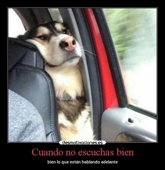 Cuando no escuchas bien - 