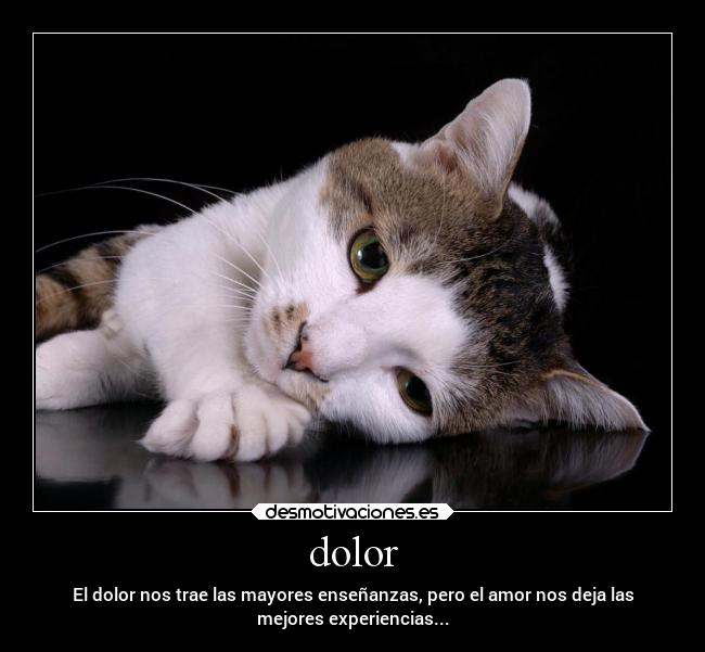 dolor - El dolor nos trae las mayores enseñanzas, pero el amor nos deja las
mejores experiencias...