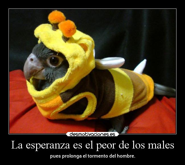 carteles esperanza animales esperanza drnormalman ojala morirse abeja loro pajarito chumino caracol desmotivaciones