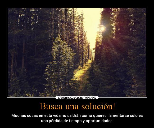 Busca una solución! - Muchas cosas en esta vida no saldrán como quieres, lamentarse solo es
una pérdida de tiempo y oportunidades.