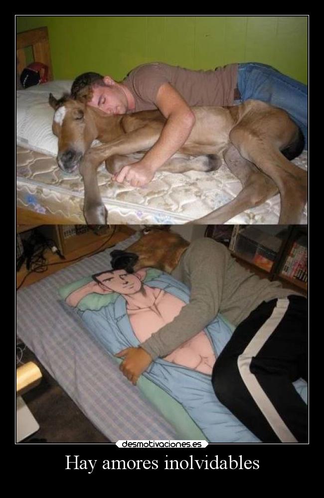 carteles humor amor zoofilia desmolove desmotivaciones