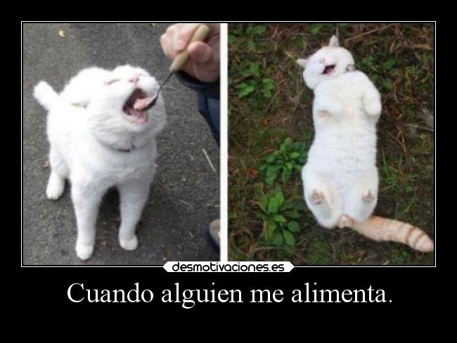 Cuando alguien me alimenta. - 
