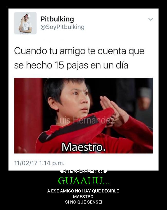GUAAUU... - A ESE AMIGO NO HAY QUE DECIRLE
MAESTRO
SI NO QUE SENSEI