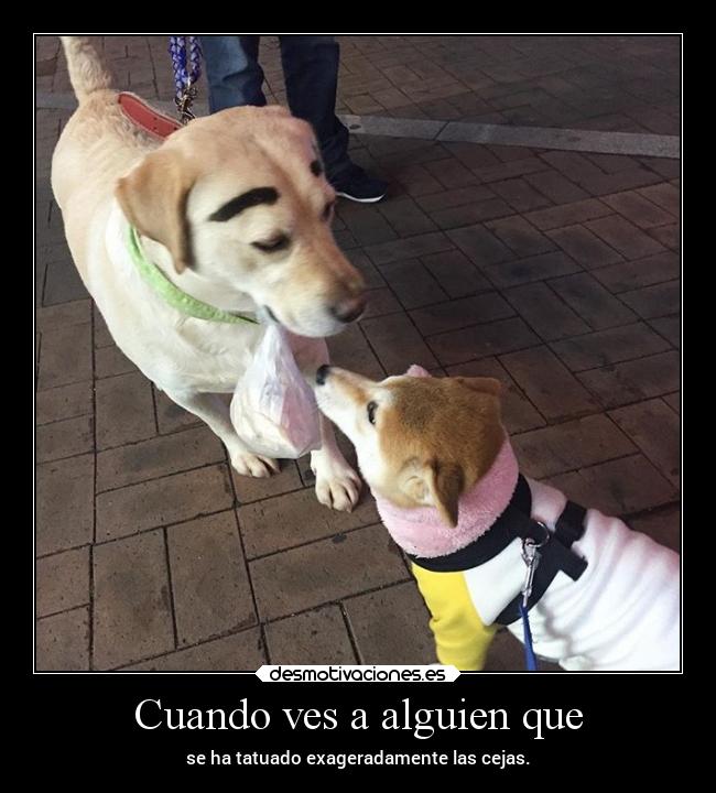 Cuando ves a alguien que -