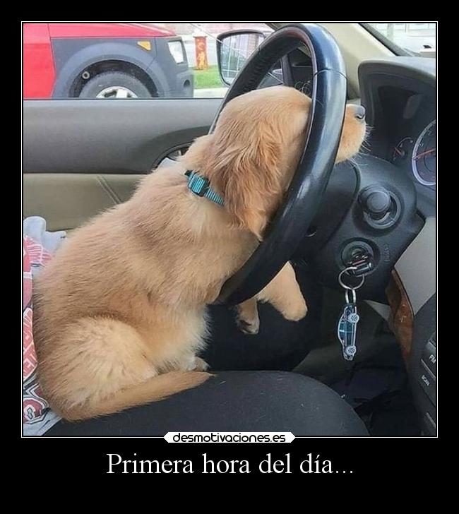 carteles humor wisdom summit bollicaosjota breathebreathe breathe desmotivaciones