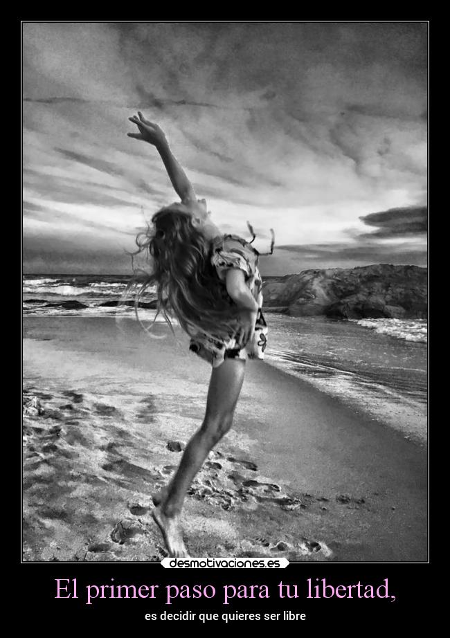 carteles libertad libertad desmotivaciones