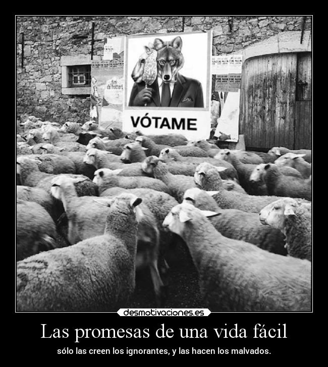 carteles promesas vida deseos desmotivaciones vida soledad politica clandesplazado soyunidiotatm projectd manada32 nomasb desmotivaciones