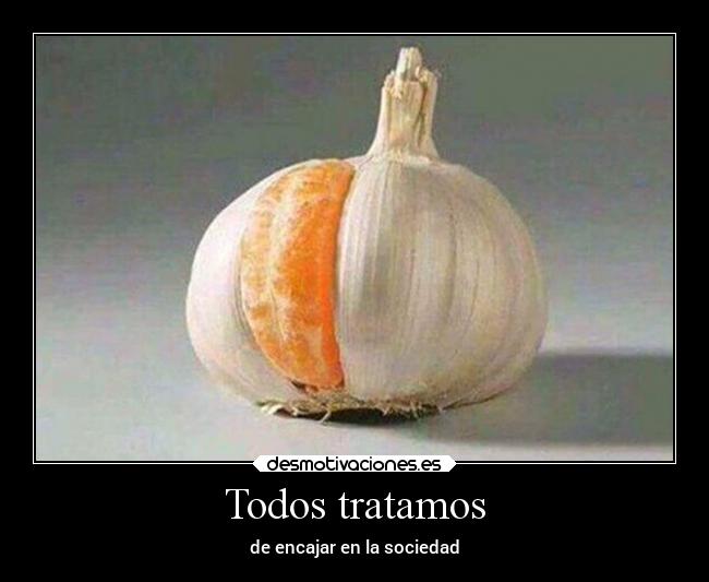 carteles sociedad desmotivaciones