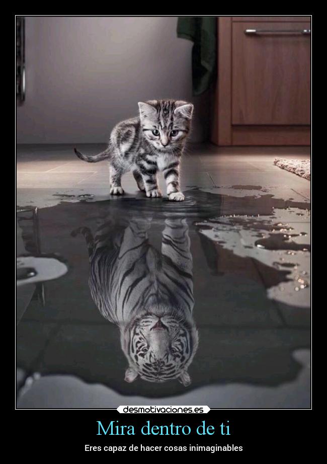 Mira dentro de ti - Eres capaz de hacer cosas inimaginables