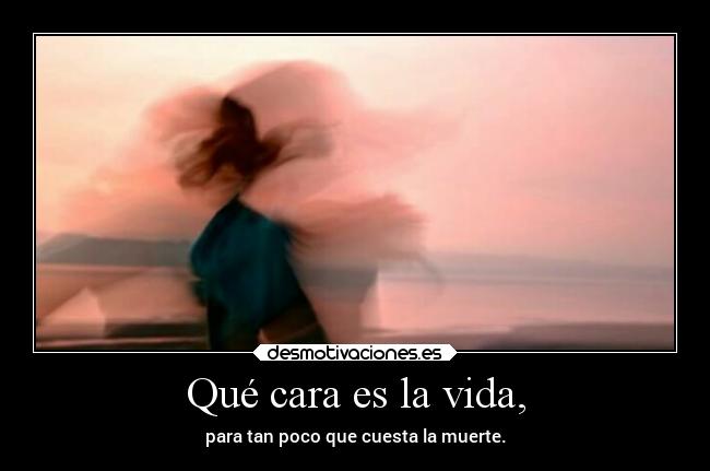 carteles vida vida alegria desmotivaciones