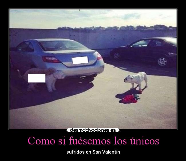 Como si fuésemos los únicos - sufridos en San Valentin