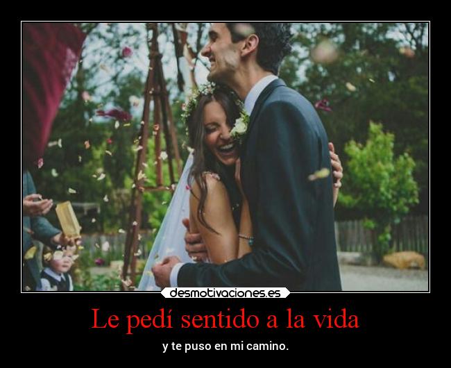 Le pedí sentido a la vida - y te puso en mi camino.