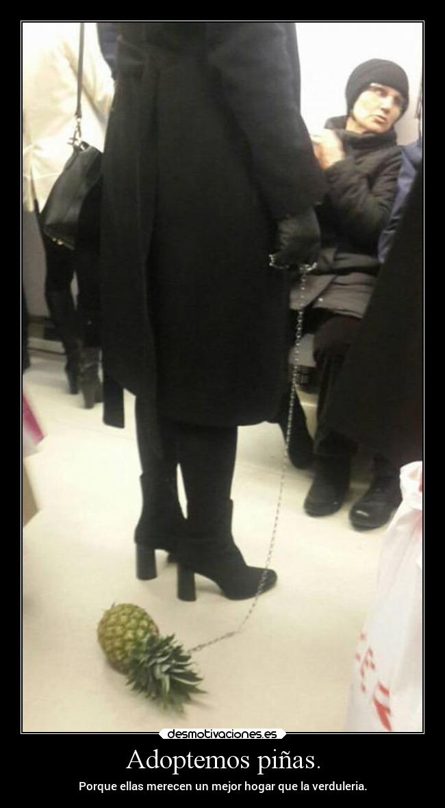 Adoptemos piñas. - Porque ellas merecen un mejor hogar que la verduleria.