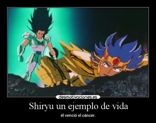 Shiryu un ejemplo de vida - él venció el cáncer.