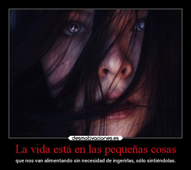 carteles vida vida desmolala deadvil yupiiii estoybajandotodoslosdiasacucuta mananaestareenelcentro desmotivaciones