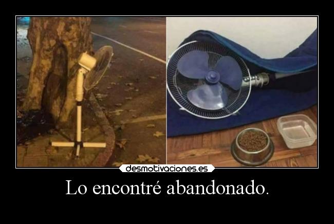 Lo encontré abandonado. -