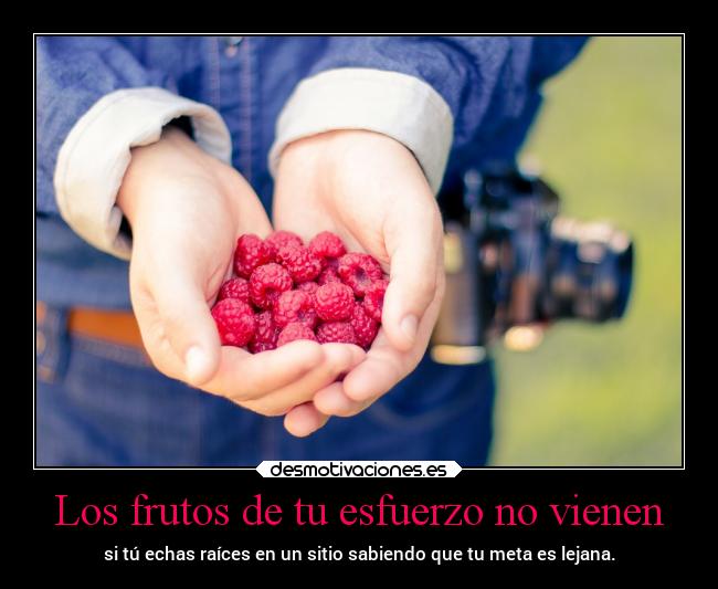 carteles vida frutos clanmetaforico desmotivaciones