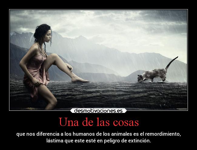 carteles vida humanidad remordimiento desmotivaciones