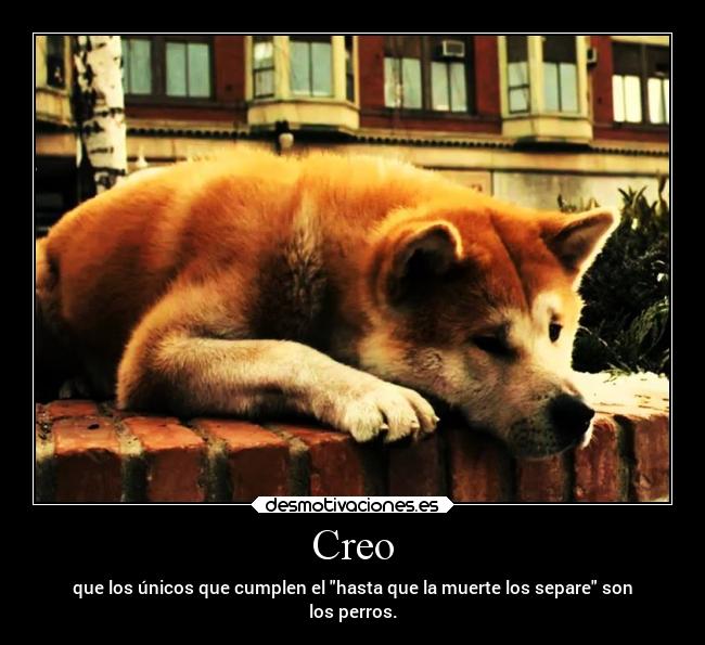 Creo - que los únicos que cumplen el hasta que la muerte los separe son
los perros.