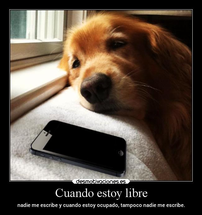 Cuando estoy libre - nadie me escribe y cuando estoy ocupado, tampoco nadie me escribe.