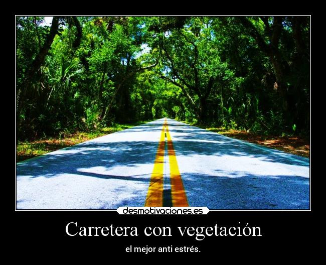 Carretera con vegetación - el mejor anti estrés.